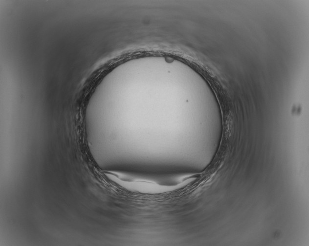 X0000097751494200803281557