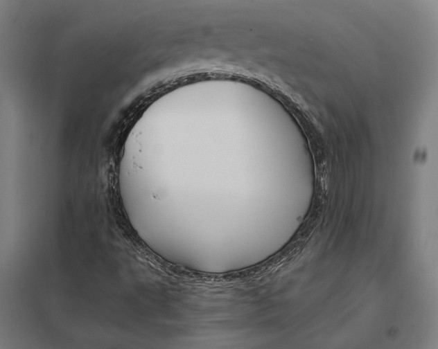 X0000097751495200803281557