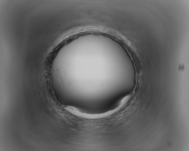 X0000097751496200803281557