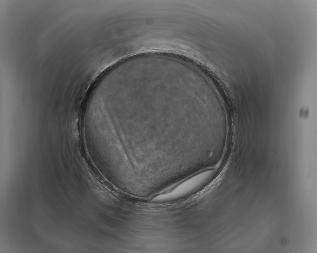 X0000097751497200803281557