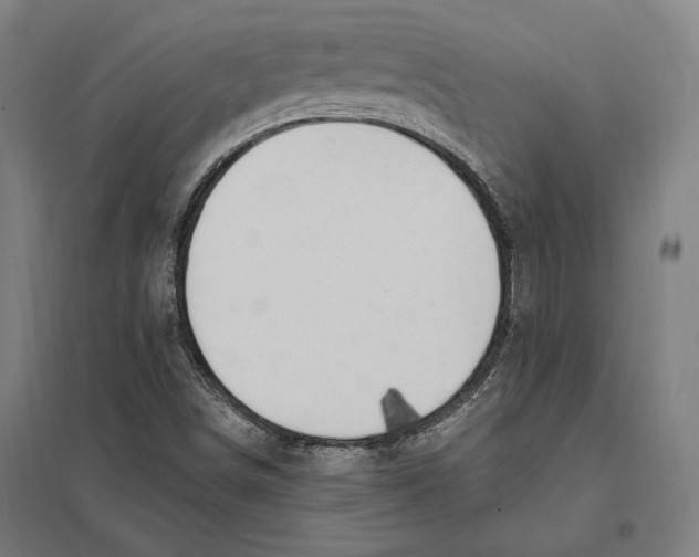 X0000097751498200803281557