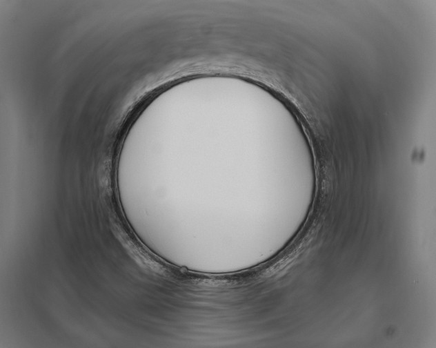 X0000097751499200803281557