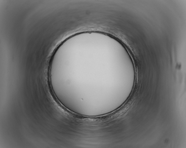 X0000097751500200803281557