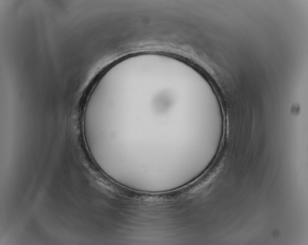 X0000097751501200803281557