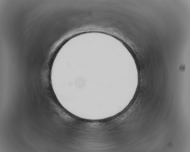 X0000097751502200803281557