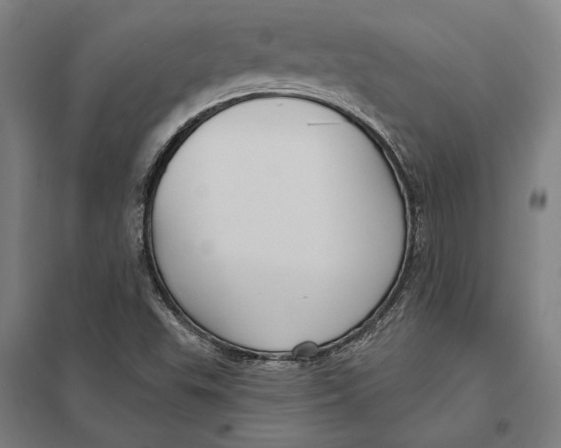 X0000097751503200803281557