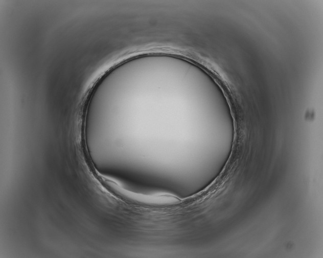 X0000097751504200803281557