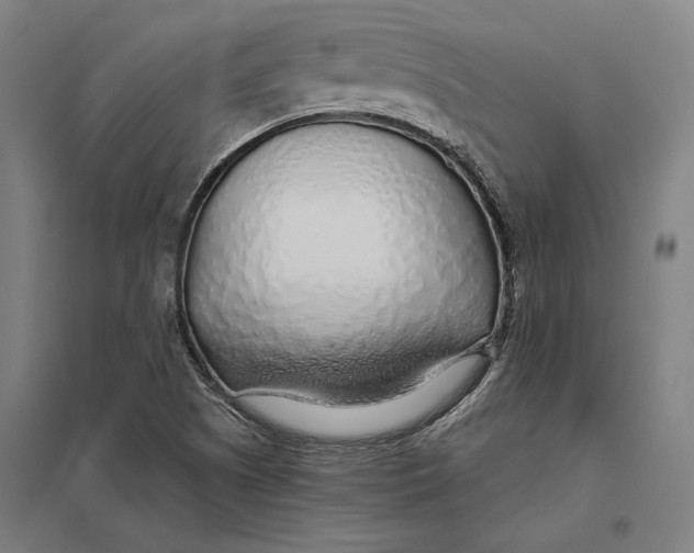 X0000097751505200803281557