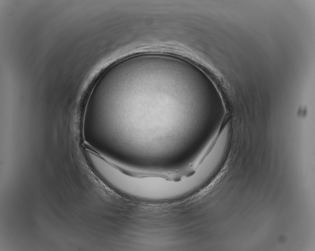 X0000097751506200803281557