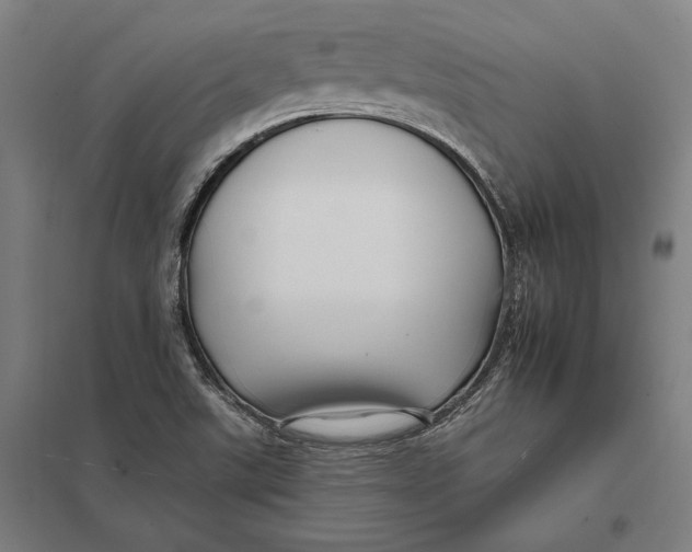 X0000097751507200803281557