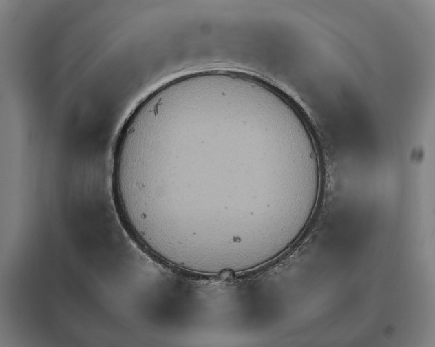 X0000097751508200803281557