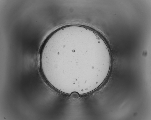 X0000097751509200803281557