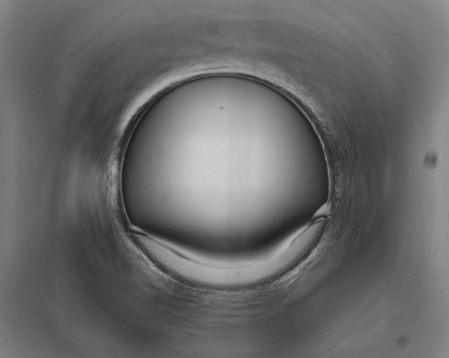 X0000097751510200803281557