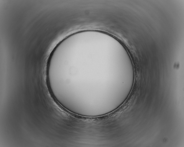 X0000097751512200803281557