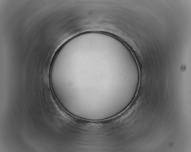 X0000097751513200803281557