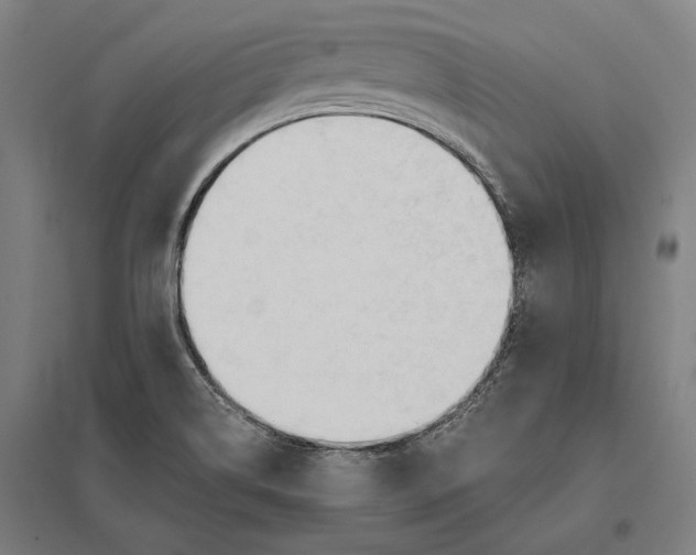 X0000097751514200803281557