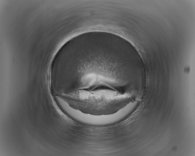 X0000097751515200803281557