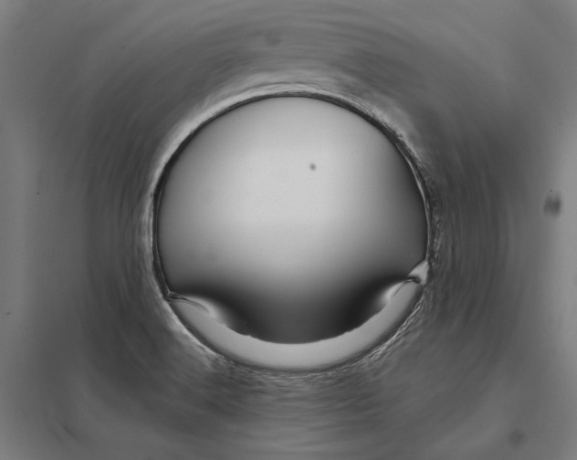 X0000097751516200803281557