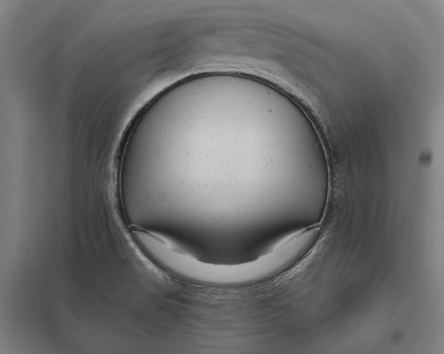 X0000097751517200803281557