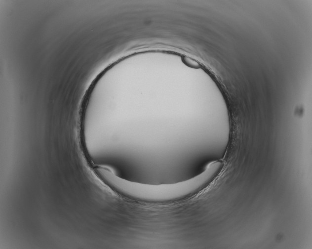 X0000097751518200803281557