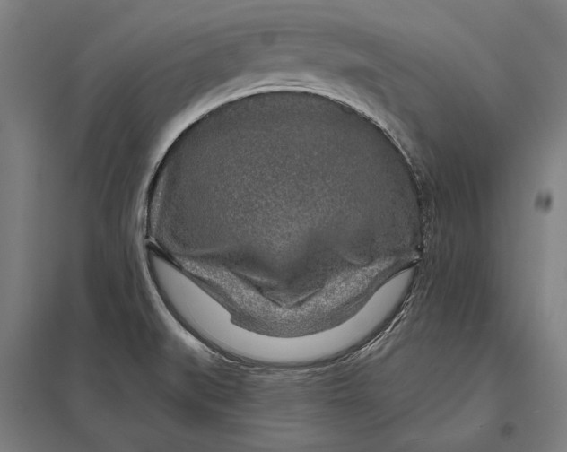 X0000097751519200803281557