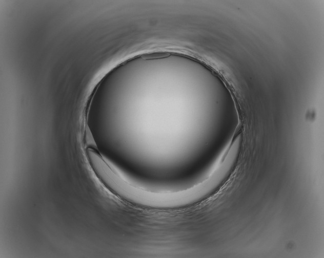 X0000097751520200803281557