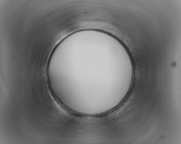 X0000097751521200803281557