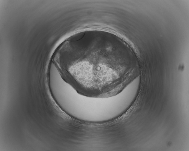 X0000097751522200803281557