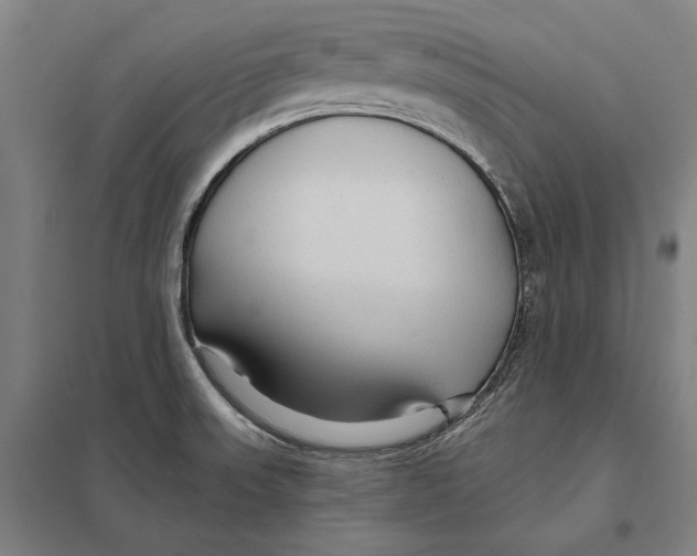 X0000097751523200803281557