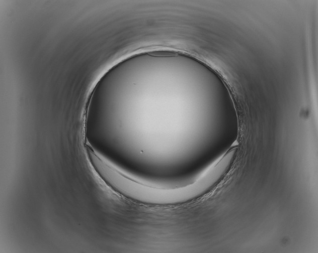 X0000097751524200803281557