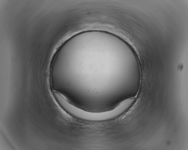 X0000097751525200803281557