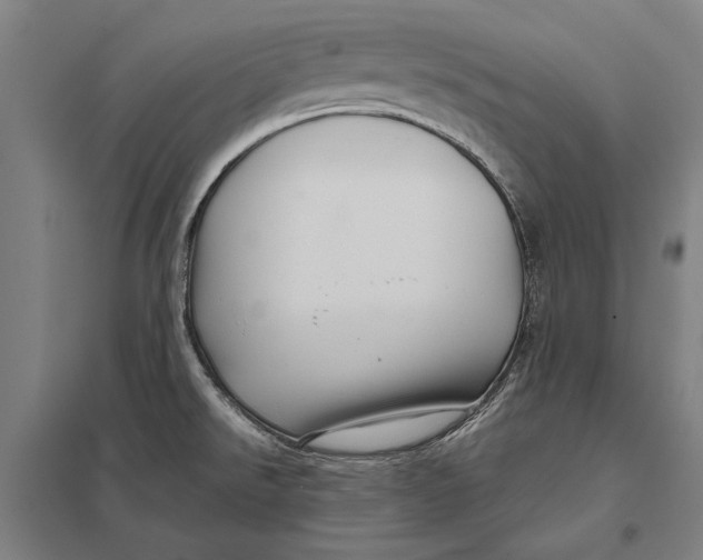 X0000097751526200803281557