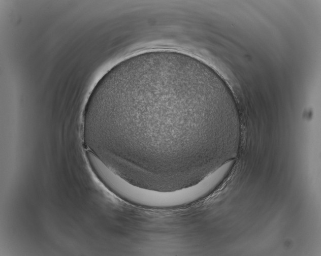 X0000097751527200803281557