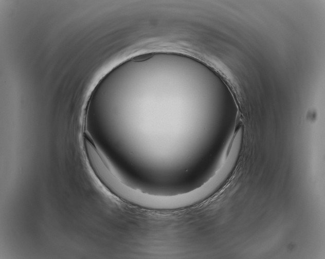 X0000097751528200803281557