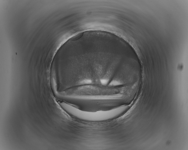 X0000097751529200803281557