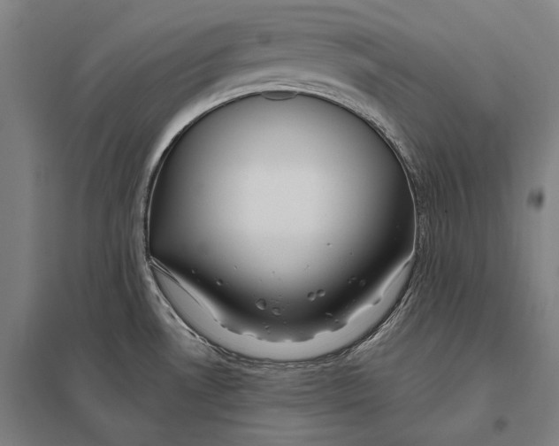 X0000097751530200803281557