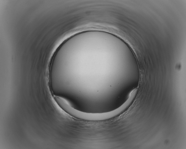 X0000097751531200803281557