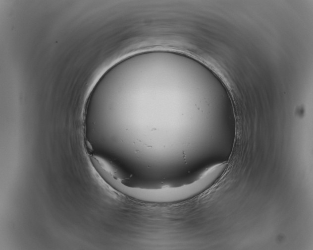 X0000097751532200803281557