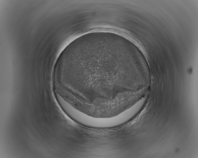 X0000097751533200803281557