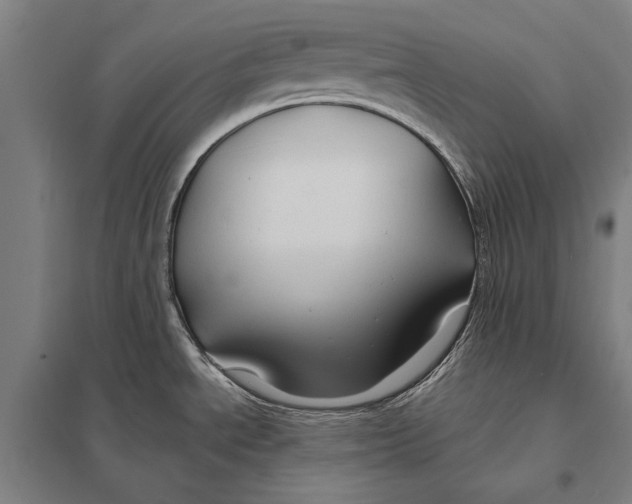 X0000097751534200803281557