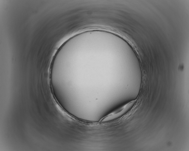 X0000097751535200803281557