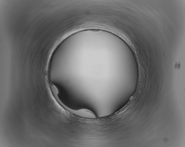 X0000097751536200803281557