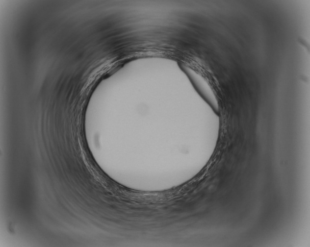 X0000097750001200804041113