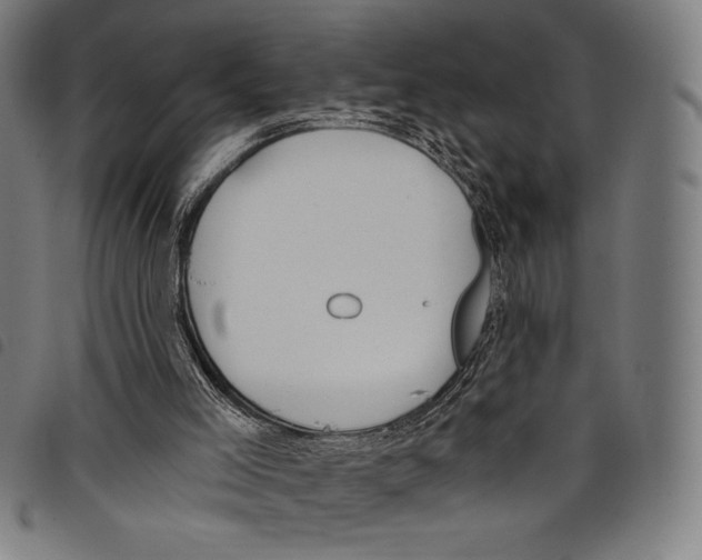 X0000097750005200804041113