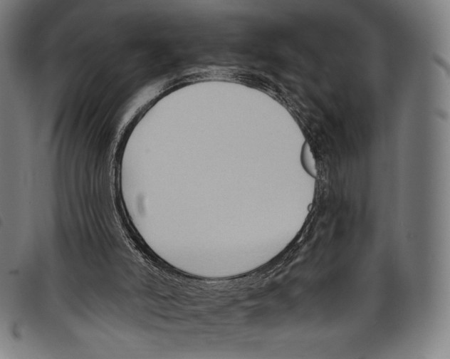 X0000097750006200804041113