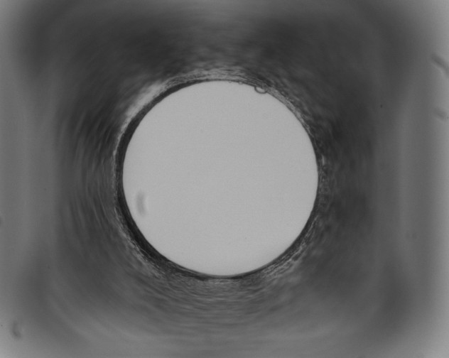 X0000097750008200804041113