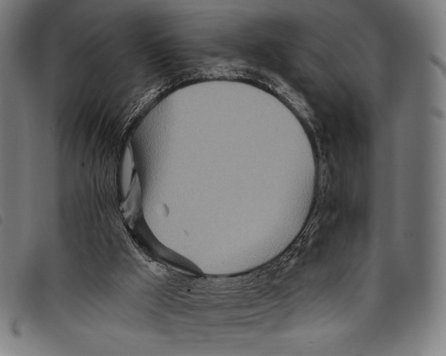 X0000097750009200804041113