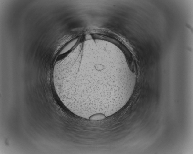 X0000097750010200804041113