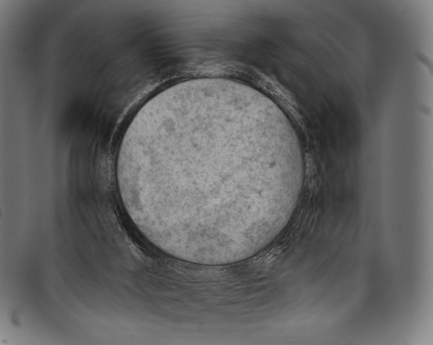 X0000097750012200804041113