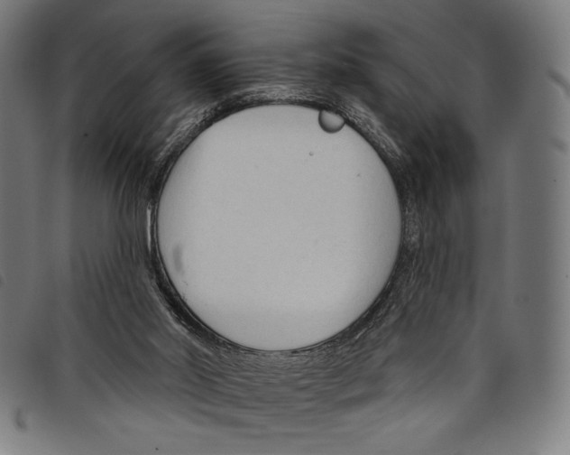 X0000097750014200804041113